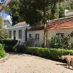 Villa Luxurious Royal Estate In Historic Paradise Sintra