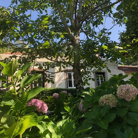 Luxurious Royal Estate In Historic Paradise Vila *