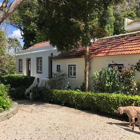 Vila Luxurious Royal Estate In Historic Paradise Sintra