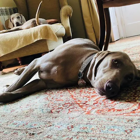 Luxurious Royal Estate In Historic Paradise